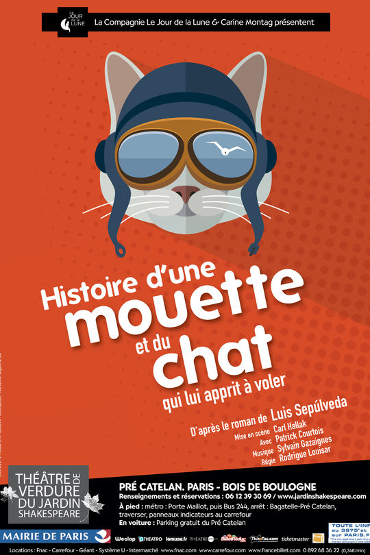 Histoire De La Mouette Et Du Chat Film Histoire d'une mouette et du chat qui lui apprit à voler | Enfant | Weclap
